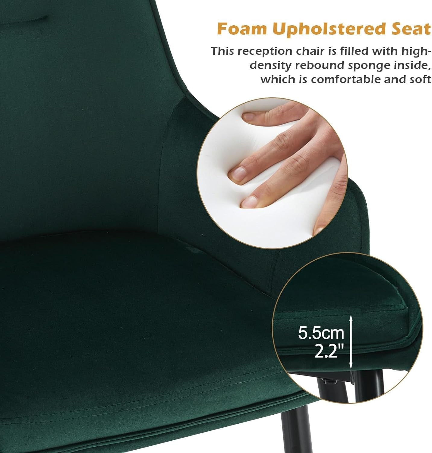 Maxine Dining Chairs [Velvet] [set of 2]